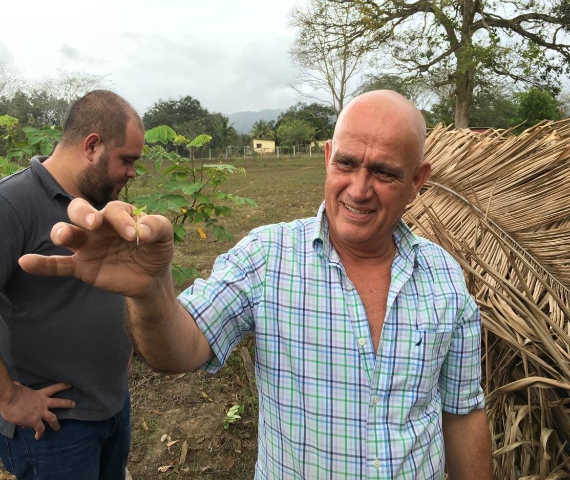 Honduras Cardamom Sourcing | Yogi Tea