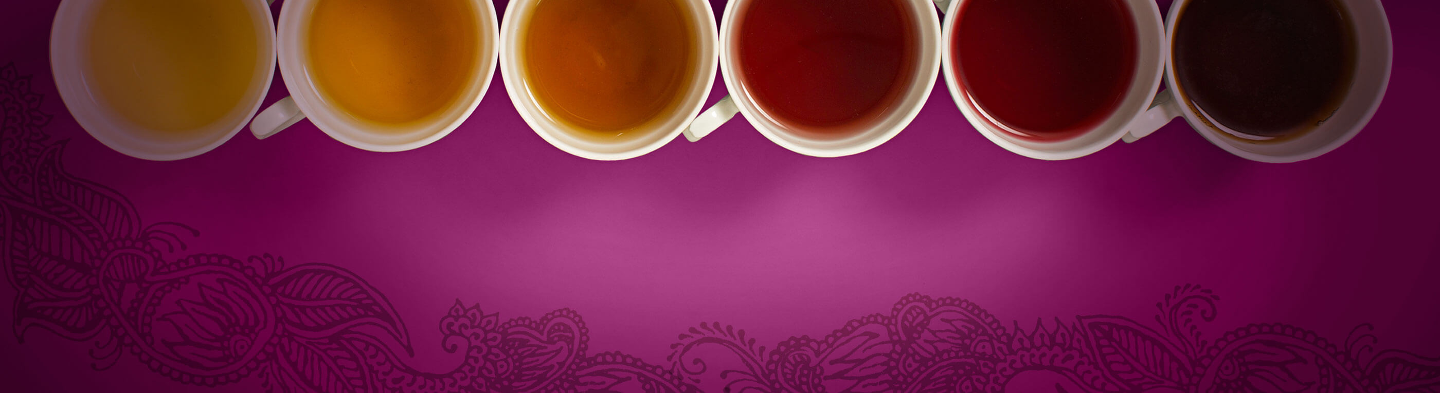 Yogi Tea Finest Collection - Yogi Tea
