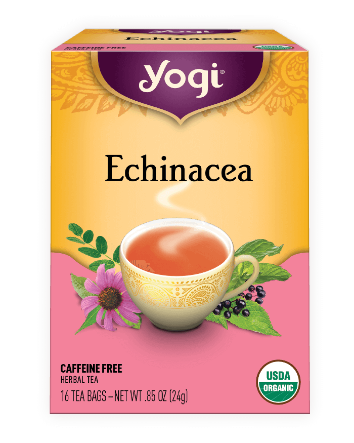Yogi Teas in Japan<br/>Echinacea” width=”700″ height=”875″ =”image” loading=”lazy”/>
                </a>
                <a class=