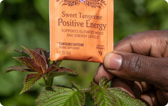 A hand showcases a Yogi Tea bag called 'Sweet Tangerine Positive Energy' in front of vibrant tea leaves.