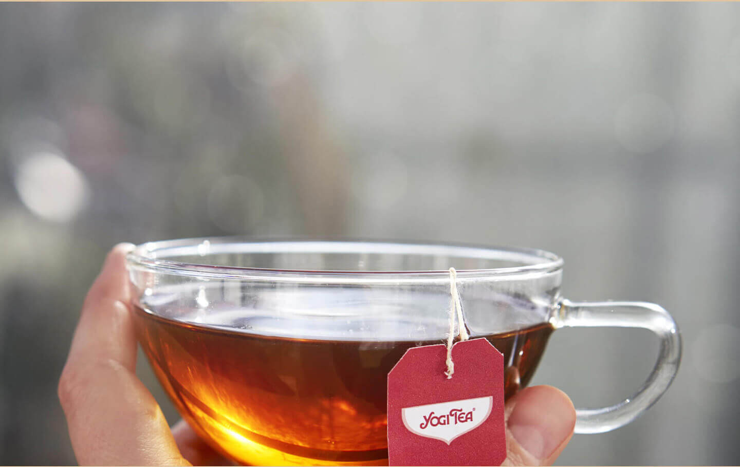 holding Yogi tea in a glass cup